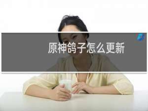 原神鸽子怎么更新
