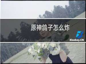 原神鸽子怎么炸