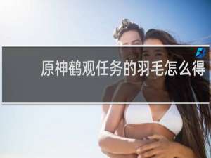 原神鹤观任务的羽毛怎么得