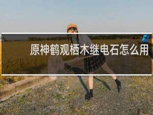 原神鹤观栖木继电石怎么用