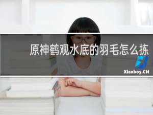 原神鹤观水底的羽毛怎么拣