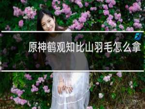 原神鹤观知比山羽毛怎么拿