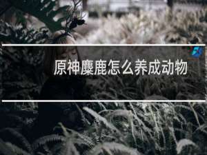 原神麋鹿怎么养成动物