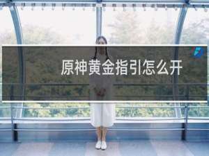 原神黄金指引怎么开