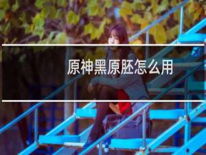 原神黑原胚怎么用
