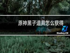 原神黑子道具怎么获得