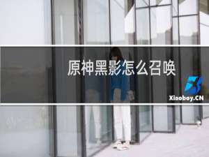 原神黑影怎么召唤