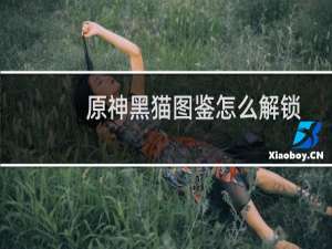 原神黑猫图鉴怎么解锁