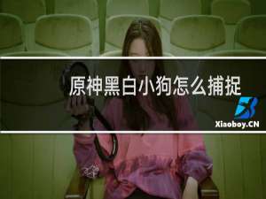 原神黑白小狗怎么捕捉