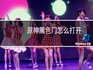 原神黑色门怎么打开