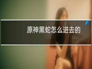 原神黑蛇怎么进去的
