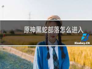 原神黑蛇部落怎么进入