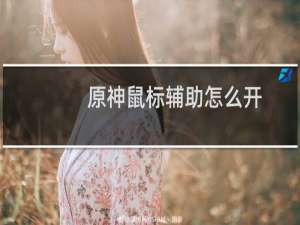 原神鼠标辅助怎么开