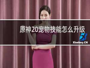 原神 宠物技能怎么升级