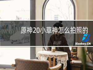 原神 小草神怎么拍照的