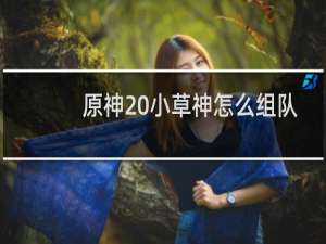 原神 小草神怎么组队