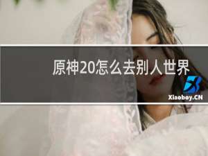 原神 怎么去别人世界