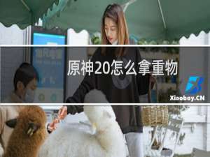 原神 怎么拿重物