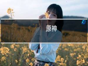 原神 怎么用风之翼