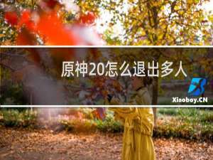 原神 怎么退出多人