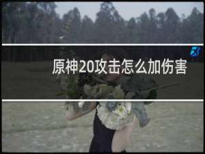 原神 攻击怎么加伤害