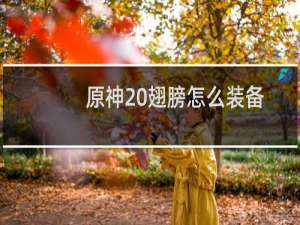 原神 翅膀怎么装备