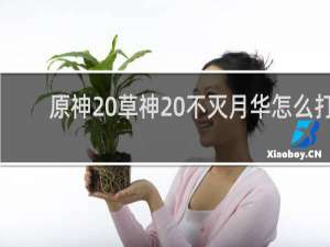 原神 草神 不灭月华怎么打