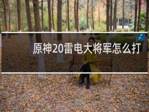 原神 雷电大将军怎么打