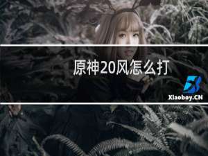 原神 风怎么打