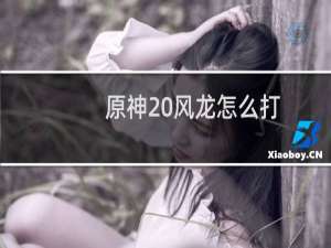 原神 风龙怎么打