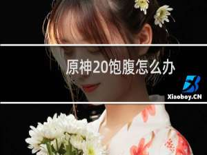 原神 饱腹怎么办