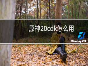 原神 cdk怎么用