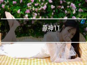 原神11-3怎么破盾快