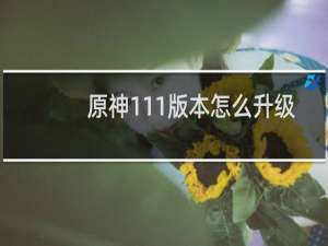 原神111版本怎么升级