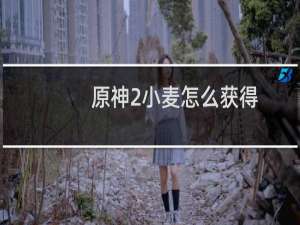 原神2小麦怎么获得