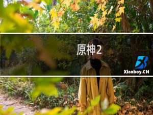 原神2.1 原石怎么用