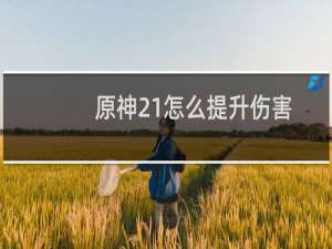 原神21怎么提升伤害