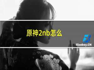 原神2nb怎么