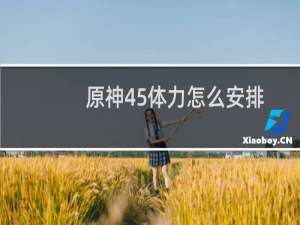 原神45体力怎么安排
