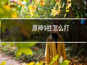 原神9柱怎么打
