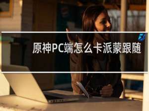 原神PC端怎么卡派蒙跟随