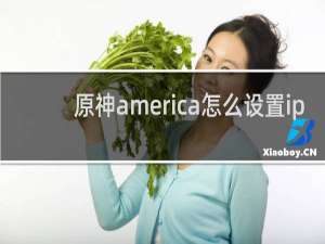 原神america怎么设置ip