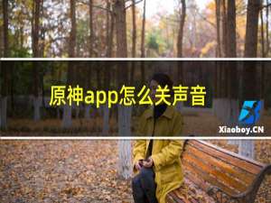 原神app怎么关声音