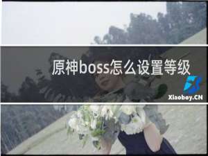 原神boss怎么设置等级