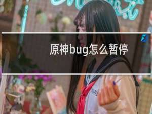 原神bug怎么暂停