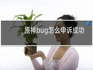 原神bug怎么申诉成功