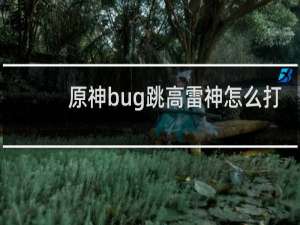 原神bug跳高雷神怎么打
