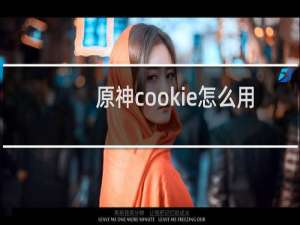 原神cookie怎么用