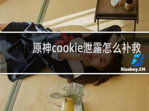 原神cookie泄露怎么补救
