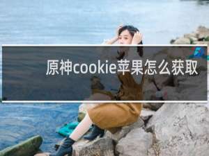 原神cookie苹果怎么获取